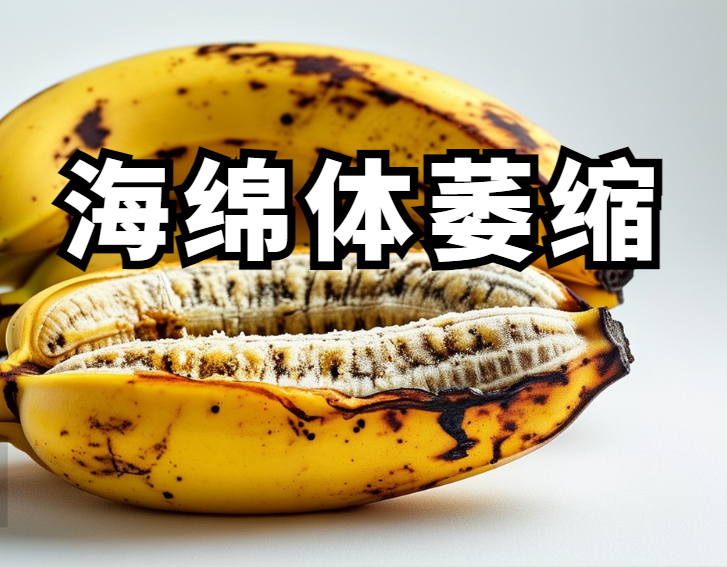 海绵体萎缩.jpg
