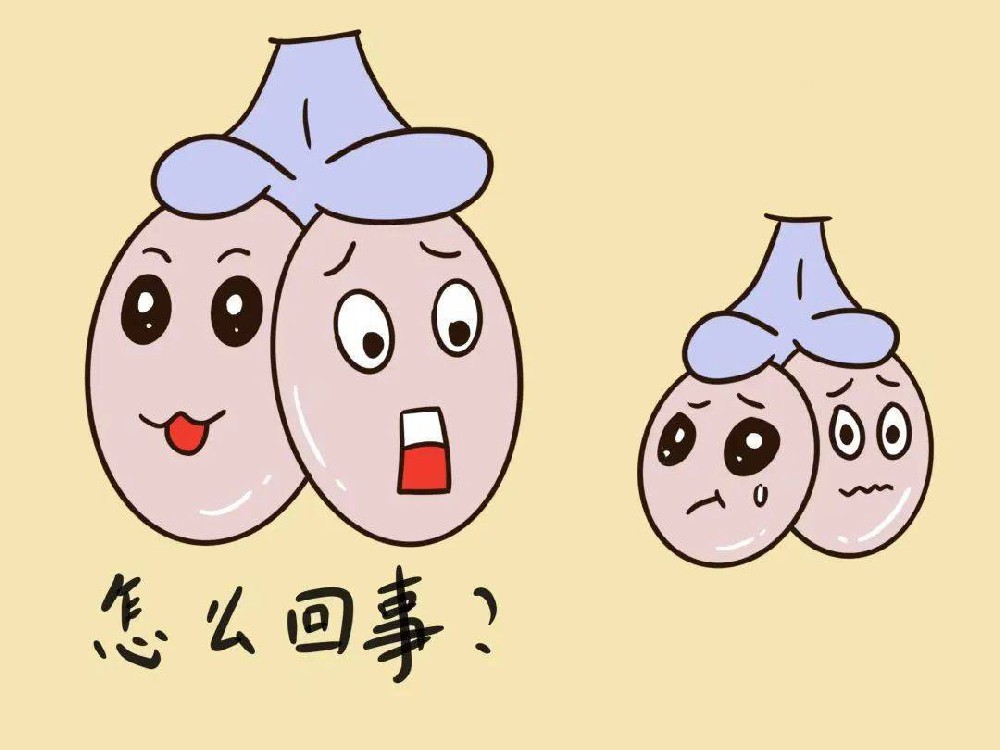 发烧或重病后,精液量长期减少?警惕睾丸生精功能受影响