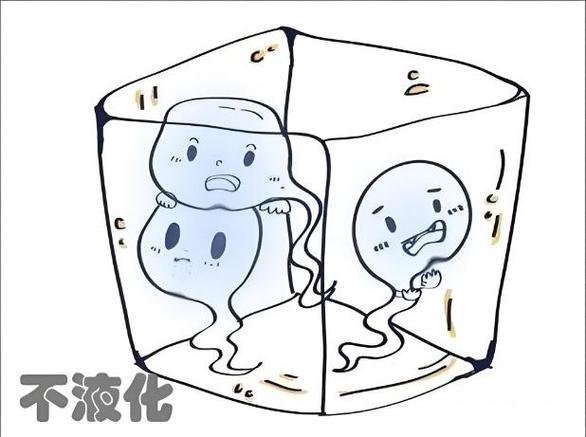 精液不液化是不育原因？ 超过60分钟不液化阻碍精子游动