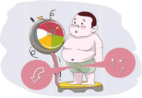 肥胖男性如何改善生育力?减重 5-10% 可显著改善激素水平和精子质量