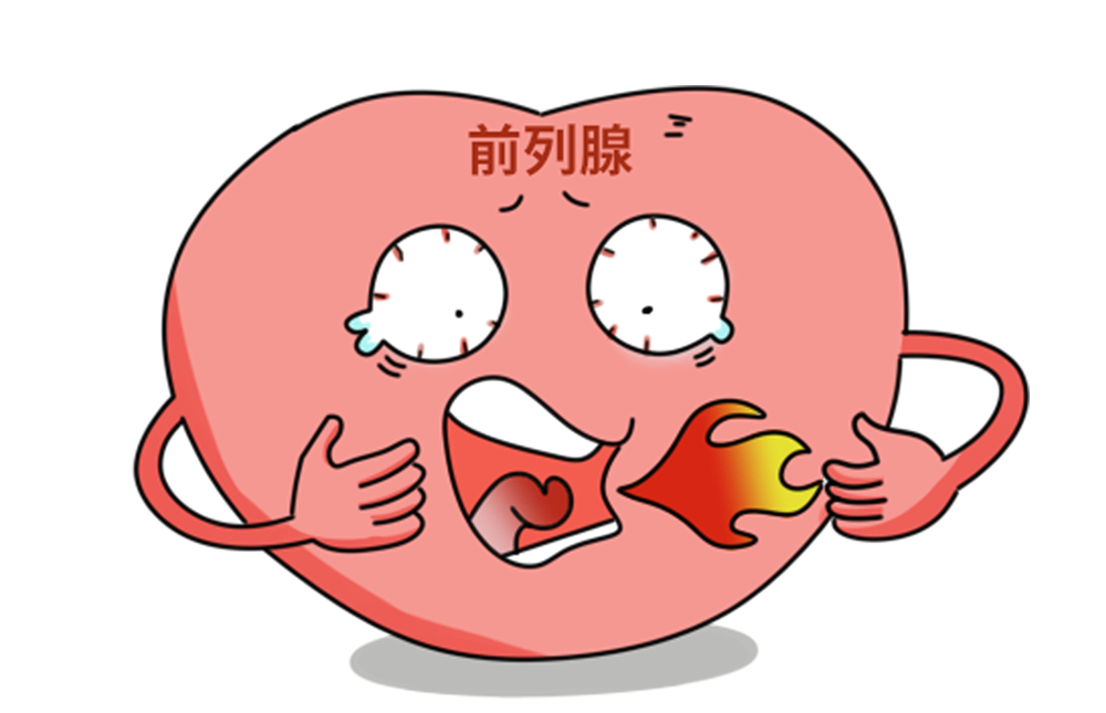 前列腺患者能吃辛辣食物吗？辣椒等刺激性食物加重盆腔充血，建议减少摄入
