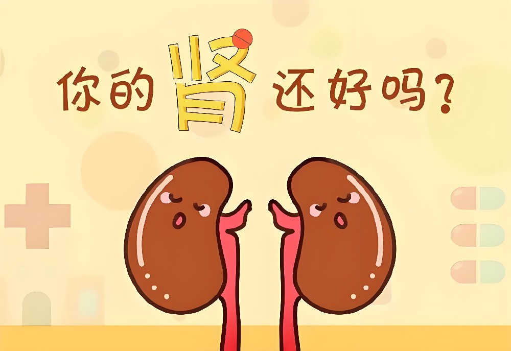 肾阳虚患者能吃阿胶吗？阿胶滋腻碍胃，阳虚者食后可能腹胀、便溏，不宜单独用